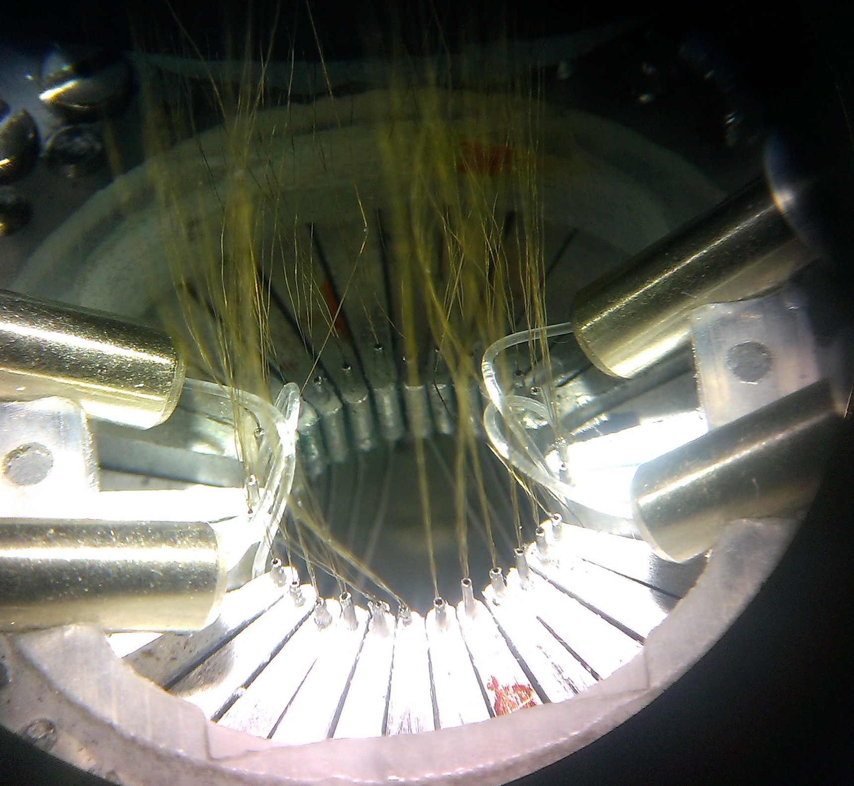 Drive loaded with tetrodes and fibers